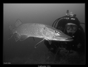 My buddy observing a pike by Beate Seiler 